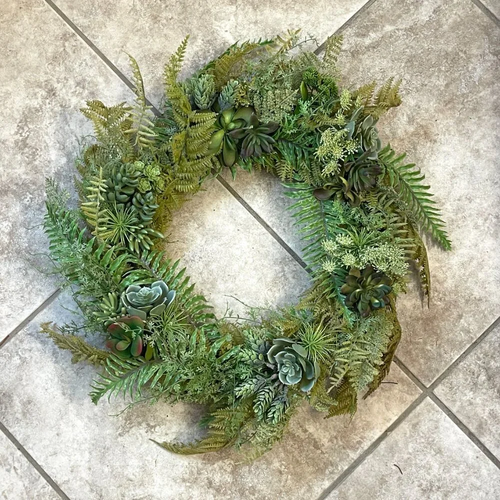 N/A succulent fern